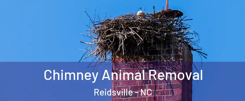  Chimney Animal Removal Reidsville - NC