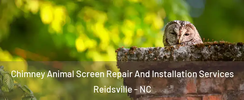  Chimney Animal Screen Repair And Installation Services Reidsville - NC