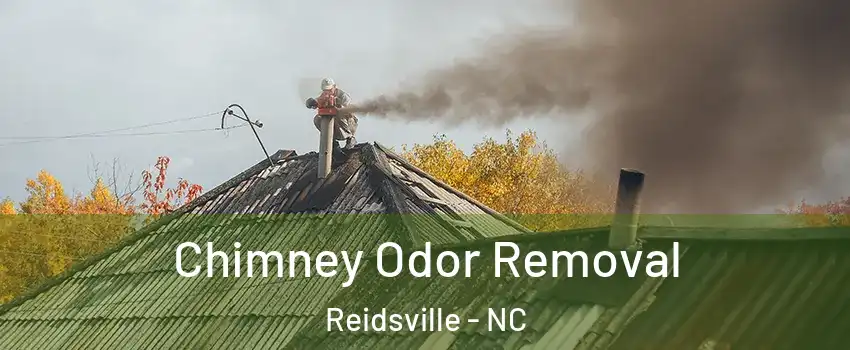  Chimney Odor Removal Reidsville - NC