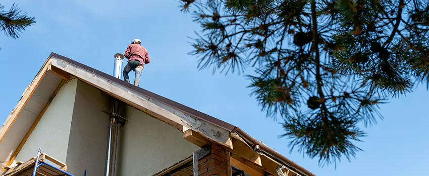 Birds Removal Contractors from Chimney in Reidsville, NC