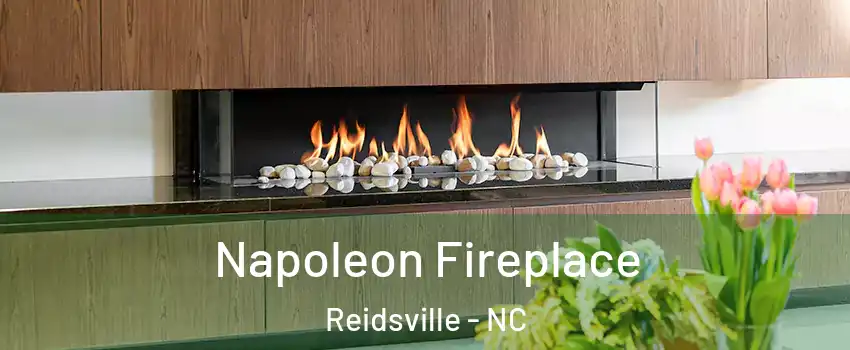 Napoleon Fireplace Reidsville - NC